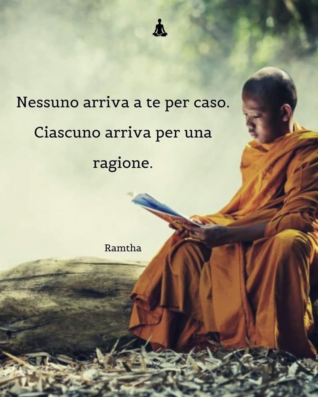 Pensiero zen camBIOvita 7