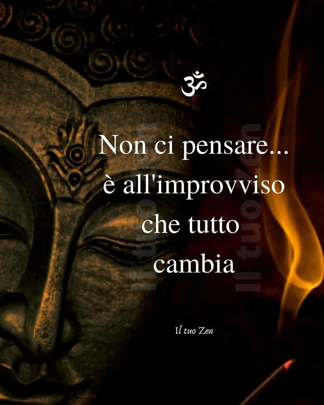 Pensiero zen camBIOvita 6