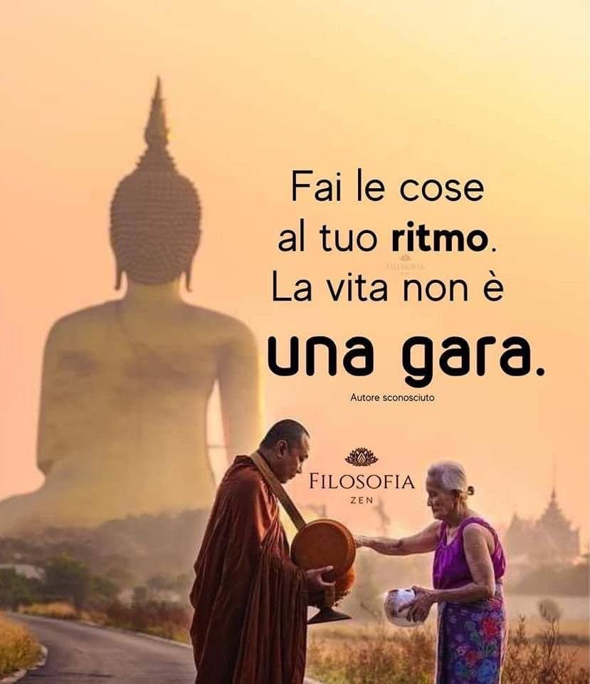 Pensiero zen camBIOvita 3