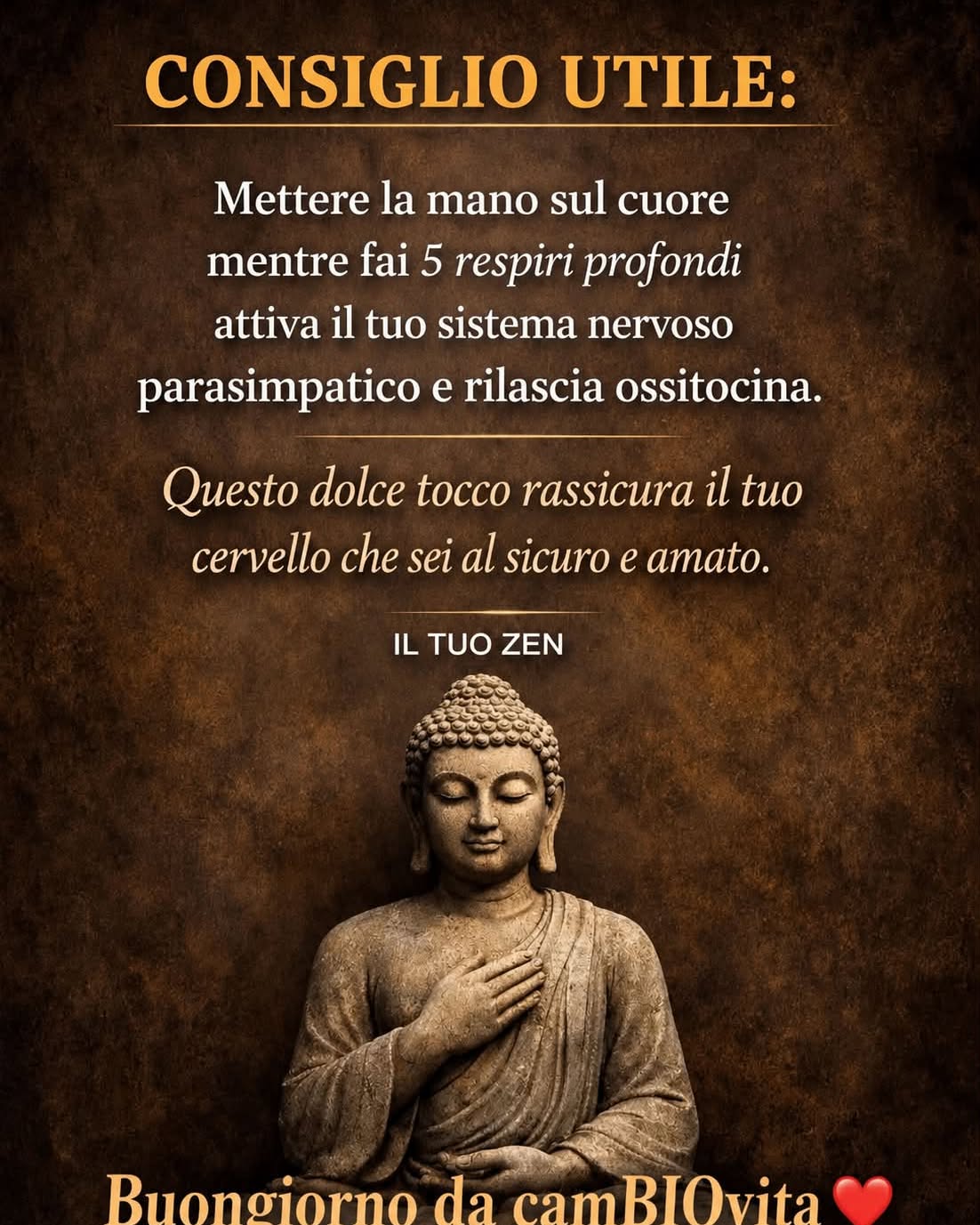 Pensiero zen camBIOvita 2